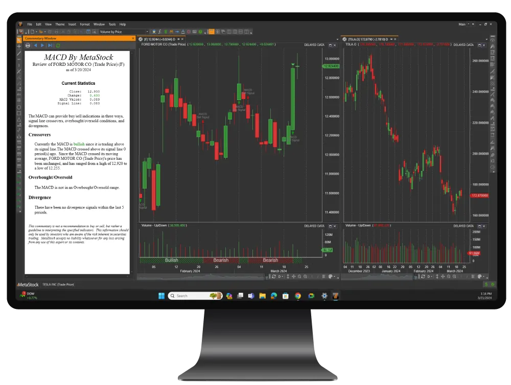 MetaStock D/C monitor with chart